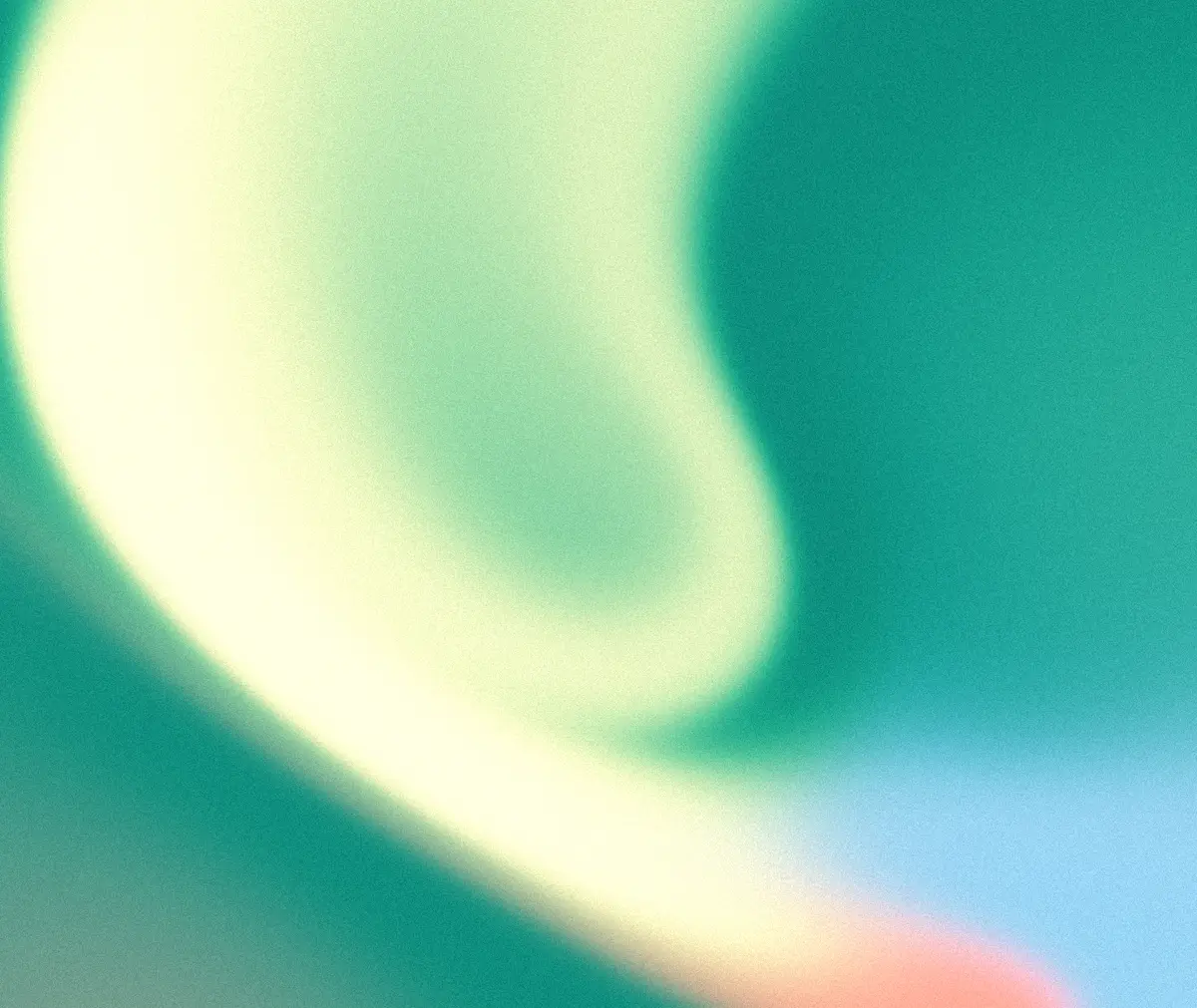 Mesh 5